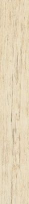 CISA XILEMA FRASSINO 20X80 cm 0800701